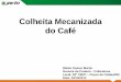 Colheita Mecanizada do Café - fundacaoprocafe.com.br · Evolução – Mapa - Horário de Trabalho (GPS) Evolução dos Produtos ... X -“Colheita Seletiva Manual”. Guatemala