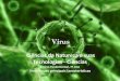 Tecnologias - Ciências Ciências da Natureza e suas · Esquema de vírus da gripe CIÊNCIAS NATURAIS, 7º Ano do Ensino Fundamental Vírus e suas principais características Material