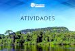 Relatório de ATIVIDADES 2014 - Instituto do Homem e Meio ...imazon.org.br/PDFimazon/Portugues/relatorio de atividades/Relatorio... · o documento Amazônia e as Eleições 2014: