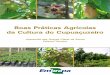 III Plano Diretor da Boas Práticas Agrícolas Embrapa ... · III Plano Diretor da Embrapa Amazônia Ocidental Boas Práticas Agrícolas da Cultura do Cupuaçuzeiro Aparecida das