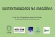 SUSTENTABILIDADE NA AMAZÔNIA - site.suframa.gov.brsite.suframa.gov.br/assuntos/publicacoes/copy_of_Apresentao_UFAM... · • Processo de identificação dos povos amazônicos; 7