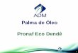 Palma de Óleo Pronaf Eco Dendê - sharp-partnership.org · • Prazo de reembolso, de acordo com o projeto técnico até 14 (quatorze) anos; • Incluídos até 6 (seis) anos de