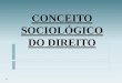 CONCEITO SOCIOLÓGICO DO DIREITO - Desativadoclubededireito.esy.es/wp-content/uploads/2016/05/SOCJUR-Aula-04.pdf · (existe estudo de pluralismo jurídico) ... Código de Processo