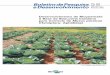 Desenvolvimento de Biopesticida à Base de Beauveria bassiana … · pragas (Instrução normativa MAPA nº 17 de maio/1999 e Lei 10.831 de dezembro/2003) e estas nem sempre estão