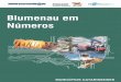 Blumenau em Números - Portal Sebrae Sebrae/Anexos/Relatorio_Municipal... · 5 APRESENTAÇÃO O estado de Santa Catarina possui um perfil diversificado: uma agricultura forte, baseada