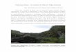 Pedras que falam - Os moinhos da Maia (S. Miguel, Açores) · 2011-03-10 · ao que por meados do século XX se verificará, ... as últimas décadas do século XV, ... até depois