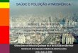 Saúde e Poluição Atmosférica - CETESB (PDF)cetesb.sp.gov.br/noticentro/2006/07/02.pdf · SAÚDE E POLUIÇÃO ATMOSFÉRICA Oficina Sobre os Índices de Qualidade do Ar da CETESB