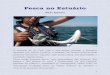 Pesca no Estuário - KATEMBE estuario.pdf · pescar com três, montados em derivação numa madre, terminando a mesma no terceiro anzol. ... da montagem aumentam e a apresentação