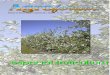 especial fruticultura - ipcb.pt · ESCOLA SUPERIOR AGRARIA DE CASTELO BRANCO ... Os trabalhos nela publicados dizem respeito a comuni- ... As rápidas mudanças na economia global