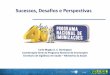 Sucessos, Desafios e Perspectivas - acaoresponsavel.org.br · Coberturas vacinais da vacina Hib* e DTP/Hib e incidência de Meningite por Haemóphilus, Brasil, 1999 a 2012 Cob vacinal
