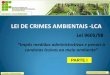LEI DE CRIMES AMBIENTAIS -LCAeder.clementino/GESTÃO... · diferenciado para crimes ambientais; Lei de Crimes Ambientais 