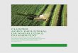 CLUSTER AGRO-INDUSTRIAL DA ANDALUZIA E DO RIBATEJO Agrocluster/Estudo Sul... · e vantagens comparativas apresentadas pelas regiões no sentido de as conduzir ao sucesso económico