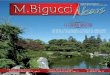 M. Bigucci entrega mais um • Estância Alto da Serra ... · Av. Senador Vergueiro 3599 - Rudge Ramos São Bernardo do Campo - SP EXPEDIENTE ELABORAÇÃO Marketing M.Bigucci Tel.:
