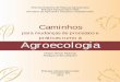 para mudanças de processos e práticas rumo à Agroecologiaainfo.cnptia.embrapa.br/.../item/54737/1/LIVRO-AGROECOLOGIA.pdf · situações em que ocorre aumento de produtividade durante