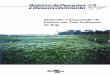 Absorção eExportação de Fósforo emTrêsCultivares deSoja · 2017-08-16 · absorção de nutrientes durante o ciclo da cultura da soja ... atingir 80% de água no solo, ... tratamentos