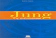 Jung e a Mediunidade - ebookespirita.org · abordar a vida Jung a partir de um olhar espírita, discorrendo sobre os inúmeros fenômenos “ocultos” vividos por ele, e suas influências