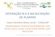 INTERAÇÃO N E K NA NUTRIÇÃO DE PLANTAS · crescimento e na produtividade das plantas ... transporte de nitrato e malato (Marschner, 2012) Conceitos •Assim, a predominância