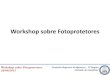 Workshop sobre Fotoprotetores · –Fotoestabilidade • Brasil –RDC 47/2006 • Europa –CE 1223/2009 –Anexo IV. Workshop sobre Fotoprotetores 28/08/2015 Efeito estrogênico