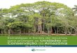 Estratégias e fontes de recursos Unidades de Conservação da … · grama de Direito Ambiental conduzido pela University of Florida/UCR Costa Rica, no qual desenhou um modelo de