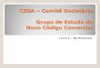 CESA - Comitê Societário Grupo de Estudo do Novo Código ... · da sociedade empresária no Registro Público de Empresas asseguram o uso exclusivo do nome empresarial em todo o