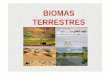 Ecologia Biomas Terrestres - marillac.g12.br .OS BIOMAS BOVOLON (2012) BIOMAS TERRESTRES BOVOLON