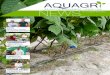 COTR - aquagri.com 09 Aquagri News n2.pdf · gestão dinâmica da rega durante o dia» João Cortes, ... Fruta com excelente ... «o apoio na gestão da rega veio melhorar a qualidade