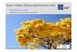 Painel: Políticas Públicas para Estímulo a PD&I · • É uma Rede de Pesquisa: ... Faculdade de Medicina Veterinária da UFT ... Analisador de Diagrama de Olho
