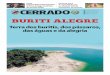 diz senador Wilder CERRADO - wildermorais.com.brwildermorais.com.br/wp-content/uploads/2016/02/Cerrado-12-de... · quando não existia apoio qual-quer do estado e ‘start up’ era