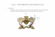 cap3.ppt [Modo de Compatibilidade] - ipb.ptppiloto/pdf/cap3.pdf · • Conservação do momento linear: – Sistema de partículas ... • Sistema de coordenadas (b1,b2 e b3) 