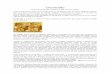 Circuncisão - Emunah - A Fé dos Santos - Homepageemunah-fe-dos-santos.weebly.com/uploads/1/4/2/3/14238883/... · (Sob uma perspectiva de análise da Bíblia como um todo) ... introdução