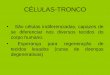 CÉLULAS-TRONCO - providaanapolis.org.br · Terapia com células-tronco • É o transplante de células-tronco (ou seja, indiferenciadas) em órgãos lesados, a fim de que elas se