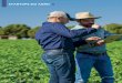 StARtUPS DO AGRO - Sistema para Agricultura de Precisãoinceres.com.br/wp-content/uploads/2017/01/A-Lavoura-717-Startups... · plantas daninhas, melhorando a pro-dutividade agrícola