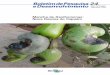 Mancha-de-Xanthomonas: Nova Doença do Cajueiro · O cultivo do cajueiro ( Anacardium occidentale L.) constitui uma excelente alternativa de emprego e renda para o produtor rural