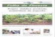 Informativo da Embrapa Florestas - Ano 9 - n016 - agosto ...ainfo.cnptia.embrapa.br/.../bitstream/item/106640/1/v.9n.160001.pdf · Federal do Paraná, Altiseg Equipamentos de Segurança