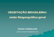 VEGETAÇÃO BRASILEIRA: visão fitogeográfica geralfiles.pedroeisenlohr.webnode.com.br/200000623-d11ddd3131/Módulo I... · Slide cedido gentilmente por J.A.A. Meira-Neto (UFV) Ecossistema