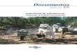 Importância da Apicultura no Pantanal Sul-Mato-Grossense · mel e, de posse destes conhecimentos, propor técnicas de manejo de colméias que contribuam para o crescimento da produtividade