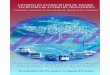 Material de Distribui..o - Setrerjsetrerj.org.br/wp-content/uploads/2017/07/175_pdtu.pdf · públicas do setor de transportes, o PDTU ... na forma deste CD-ROM uma síntese de informações