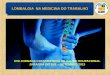 LOMBALGIA NA MEDICINA DO TRABALHO - acm.org.br · documento Diagnostico e Tratamento das Lombalgias e das Lombociatalgias (incluido no Projeto Diretrizes da Associação Medica Brasileira