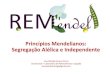 Princípios Mendelianos: Segregação Alélica e Independentepios-Mendelianos.pdf · O cruzamento de ervilhas altas e flores púrpura com ervilhas baixas de flores brancas produziu