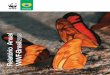 Relatório Anual WWF-Brasilassets.wwfbr.panda.org/downloads/ra2008_web.pdf · para manutenção da diversidade genética e identificação de prin-cípios ativos contra doenças existentes