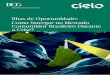 Ilhas de Oportunidade: Como Navegar no Mercado Consumidor ...image-src.bcg.com/Images/13 - BCG_Ilhas de Oportunidade_102016... · Essencial Não Essencial Média Brasileira A Área
