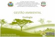 GESTÃO AMBIENTAL - Campus universitário de Sinopsinop.unemat.br/.../foto_p_downloads/fot_5973aula_1_-_ecologia_pdf.pdf · A abordagem de ecossistemas em ecologia descreve os organismos