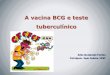 A vacina BCG e teste tuberculínico - saude.mt.gov.br · 4ª a 5ª semana úlcera com 4 a ... Indicações do teste tuberculínico Todos os indivíduos infectados pelo HIV Todo o