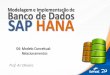 Modelagem e Implementação de Banco de Dados SAP de Dados/SAP HANA/Modelagem/4-Modelo... · PDF file2 MUNDO REAL MODELO CONCEITUAL MODELO LÓGICO MODELO FÍSICO BANCO DE DADOS Observar
