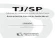 TJ/SP - livrariadamasio.com.br · PÚBLICOS CIVIS DO ESTADO DE SÃO PAULO (LEI ESTADUAL Nº 10.261/68) Arts. 239 a 323 CAPÍTULO VII Do Direito de Petição Artigo 239 - É assegurado