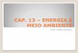 CAP. 13 – ENERGIA E MEIO AMBIENTEfiles.analisegeografica.webnode.com.br/200000048-a49c6a8849... · Em 1962, foi criada a Eletrobras (Centrais Elétricas Brasileiras S.A.) para controlar