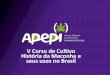 V Curso de Cultivo História da Maconha e seus usos no Brasilapepi.org/wp-content/uploads/2018/09/Andrew_Reed_historia_Brasil.pdf · utilizados na época para identificar a planta: