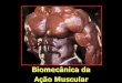 Biomecânica da Ação Muscular - profedf.ufpr.br da Acao... · MÚSCULO. A ação muscular determina todos os movimentos do corpo humano. O músculo é o único tecido do corpo humano