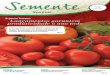 Especial Tomates Lançamentos garantem produtividade o ano todo · O jornal Semente é uma publicação quadrimestral da Seminis - uma marca da Divisão ... mesmo assim apresentou