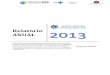 Relatório 2013 - einstein.br Compartilhados/relatorio-anual... · Relatório ANUAL 2013 Relatório de atividades relacionadas ao Projeto NCAP, pertencente ao ... Produção Científica